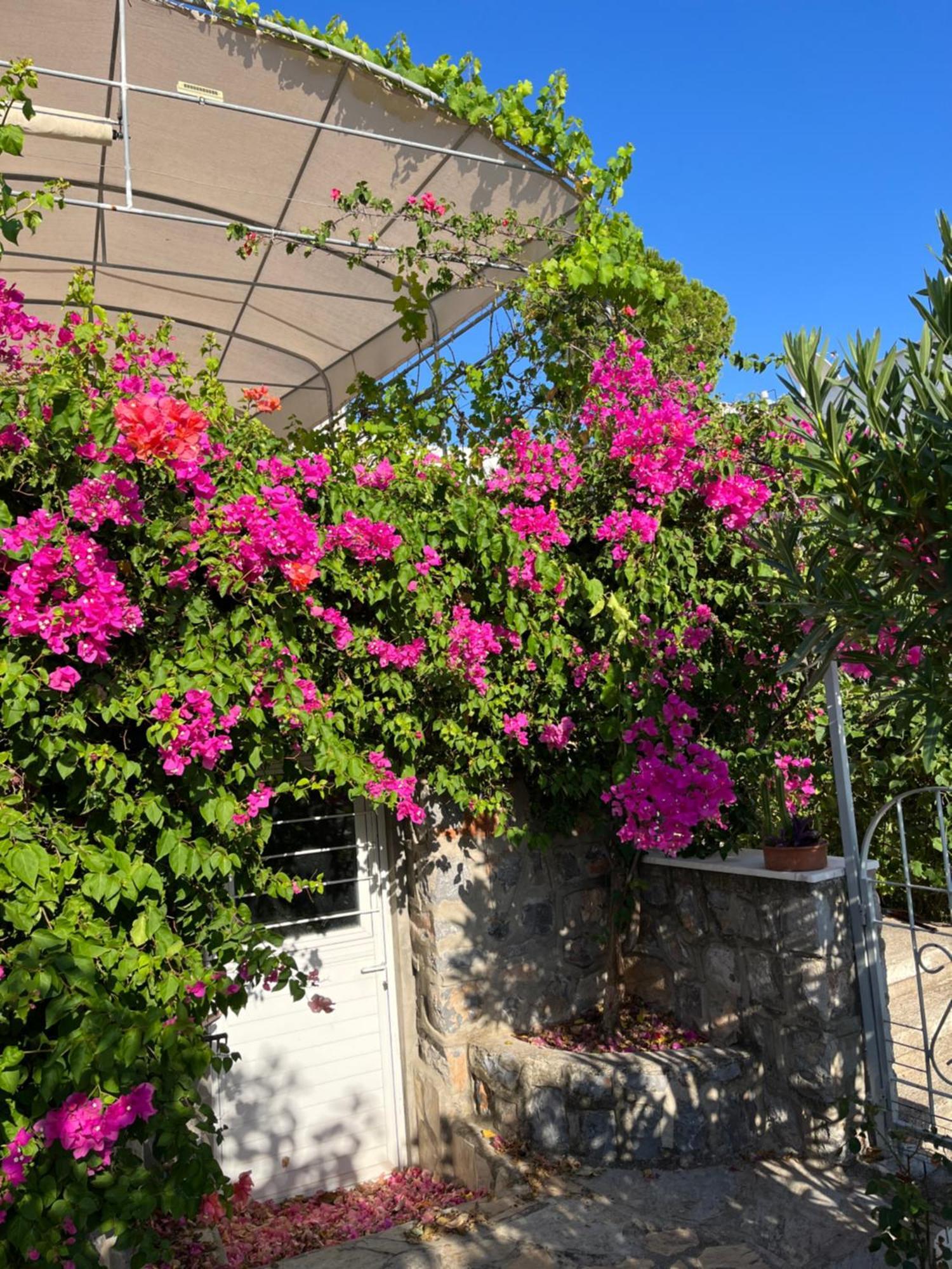 Villa Bella Vista - Near The Beach And Airport Dalaman Exterior photo